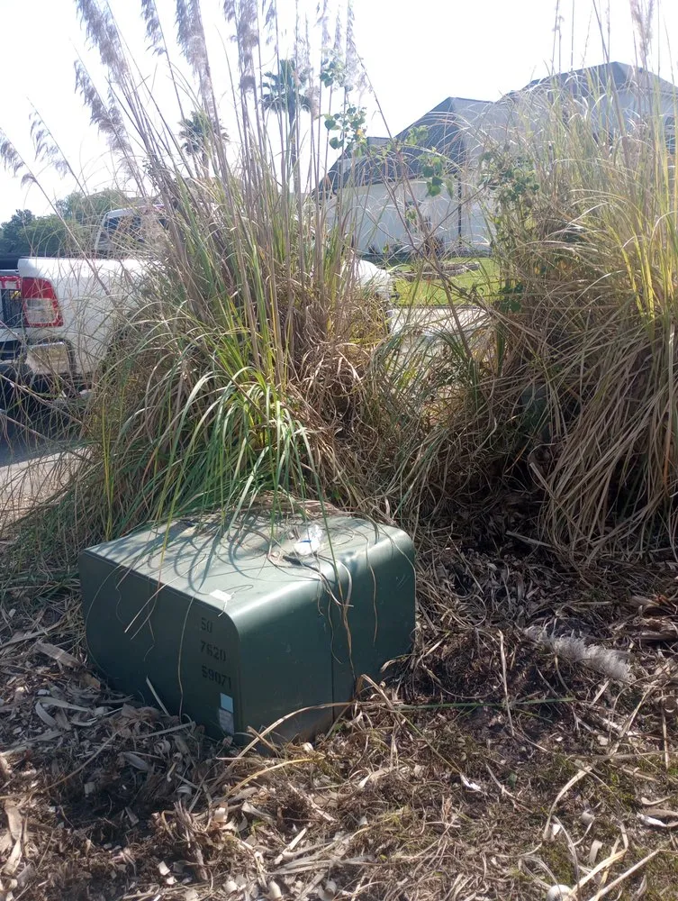 Trusted yard maintenance in Savannah, GA by Neri's Landscaping