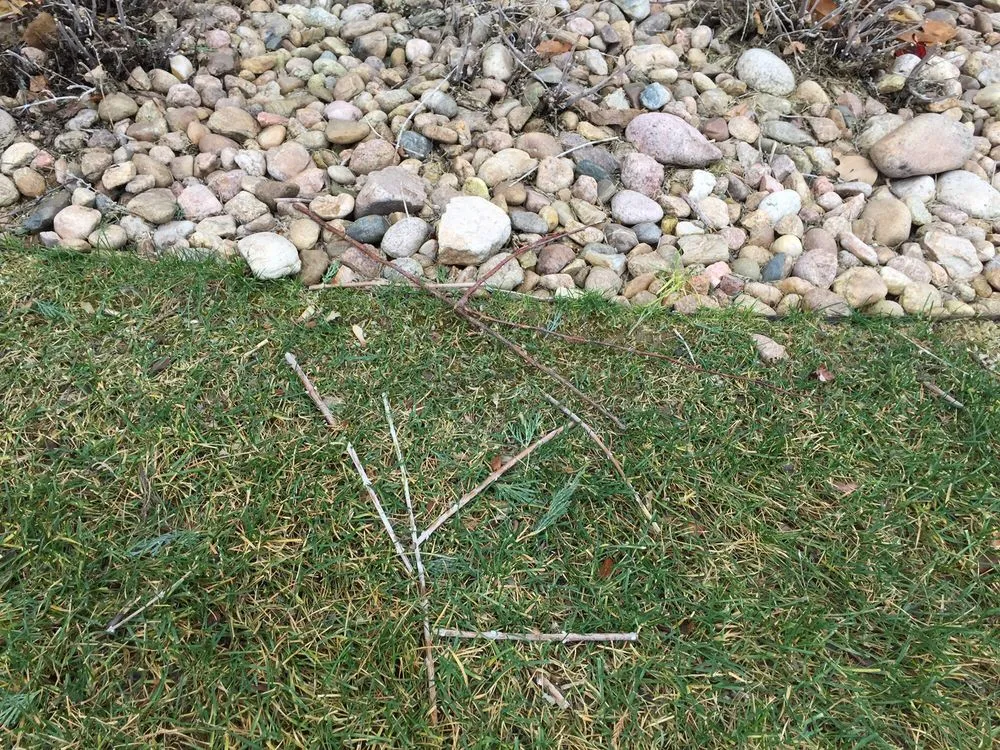 Reliable lawn care service experts serving Timnath, CO - Nero Landscape Services