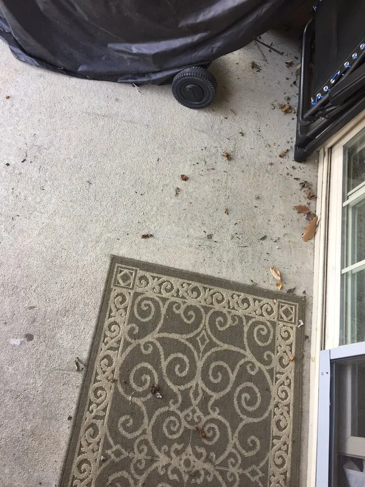 Trusted yard maintenance in Timnath, CO - Nero Landscape Services