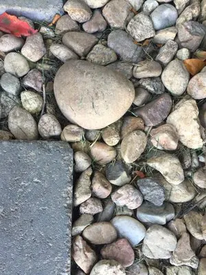 Nero Landscape Services