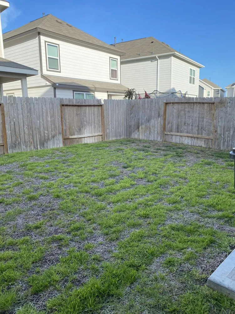 Custom outdoor landscaping in Katy, TX - Nery Greenscapes