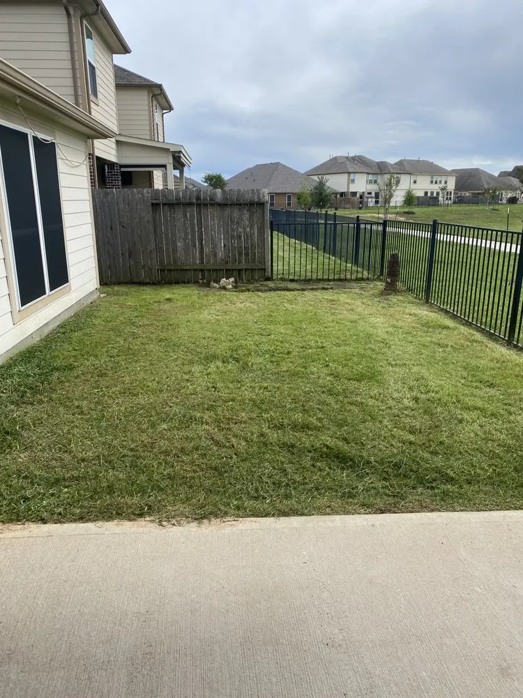 Top-rated landscape design for beautiful yards in Katy, TX by Nery Greenscapes