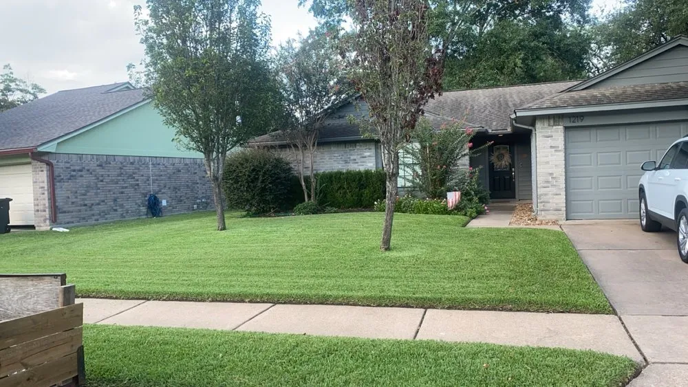 Local yard maintenance in Katy, TX - Nery Greenscapes