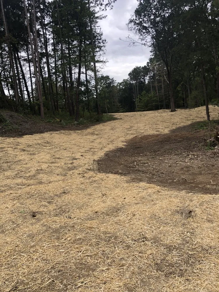 Custom landscape installation near you in Millerton, NY by NeryLopez landscaping