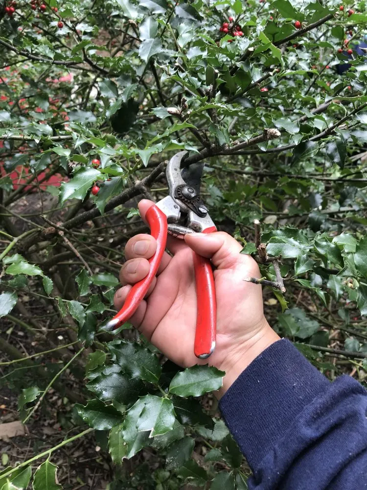 Trusted residential landscaping for homes in Lynn, MA by Nery’s Landscaping service