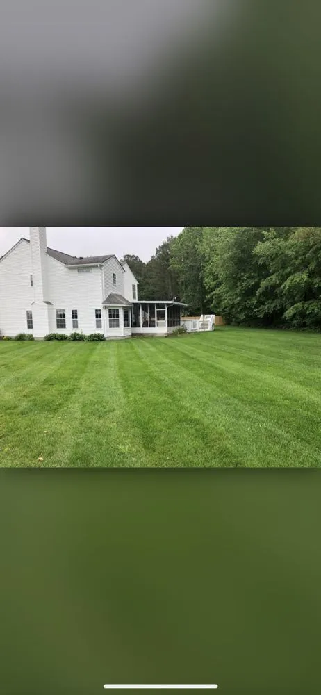 Top-rated yard cleanup service experts serving Winchester, VA - Nery’s Lawn