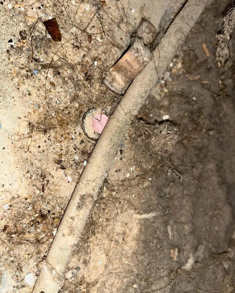 Professional landscaping services for residential properties across West Warwick, RI - Nesa Property Services