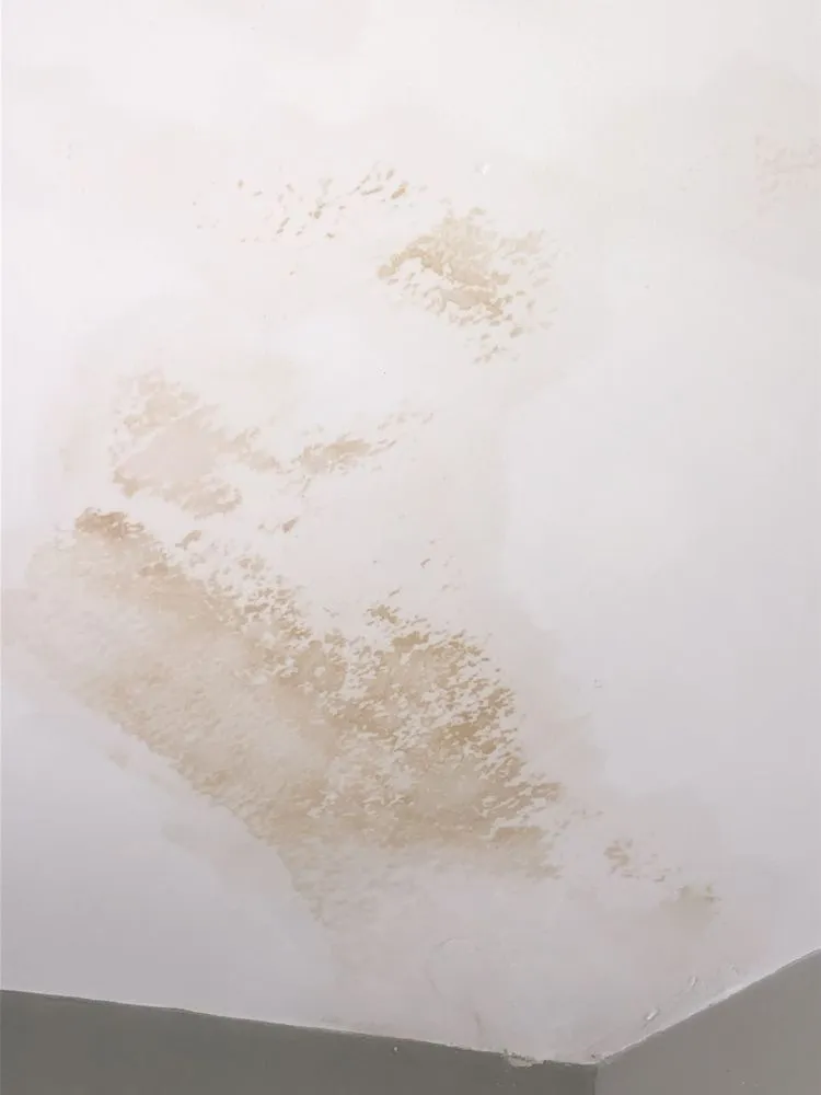 Professional landscaping services experts serving West Warwick, RI - Nesa Property Services