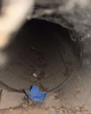 Nesa Property Services Logo