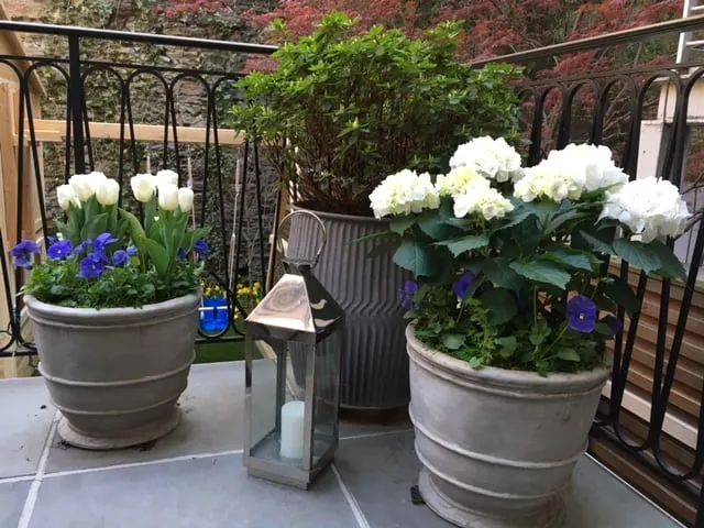 Custom yard maintenance experts serving New York, NY - Nesi Brown Design