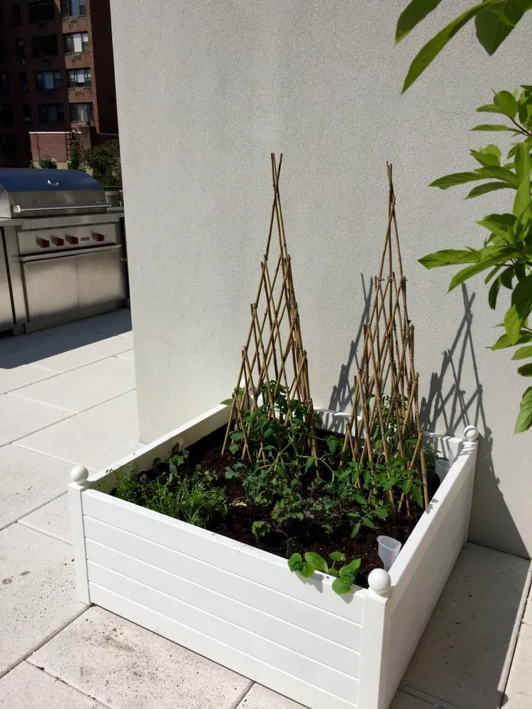 Reliable garden landscaping experts serving New York, NY - Nesi Brown Design