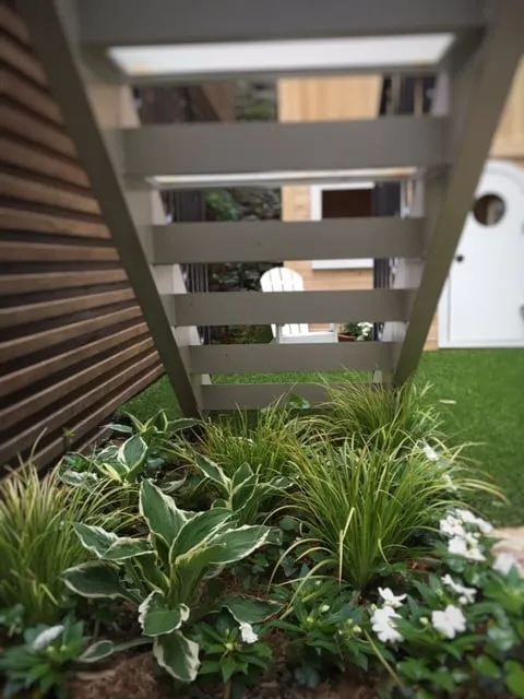 Top-rated yard cleanup service experts serving New York, NY - Nesi Brown Design