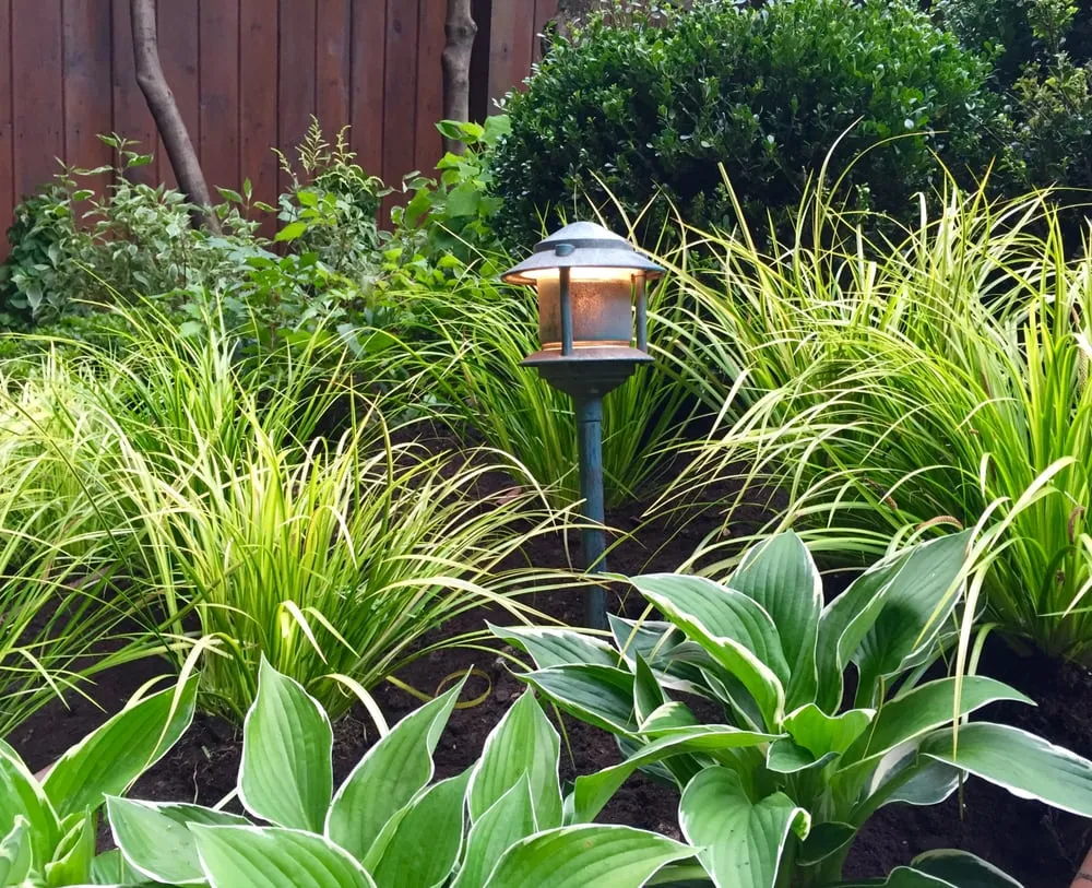 Reliable lawn mowing service in New York, NY - Nesi Brown Design