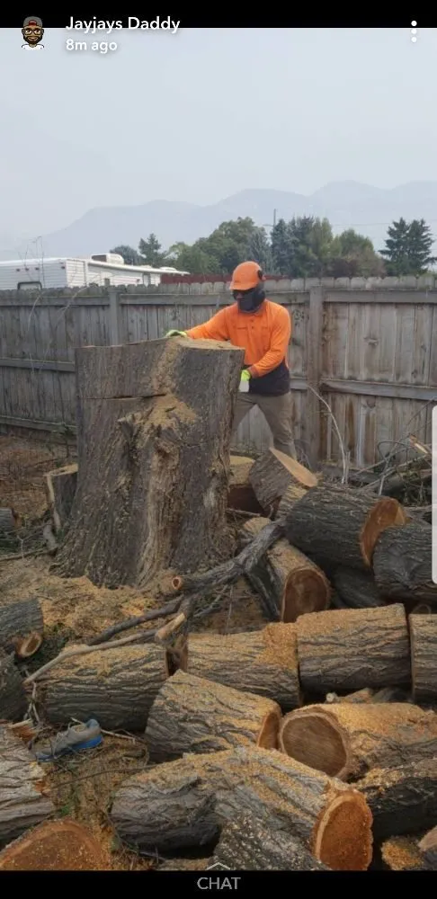 Affordable outdoor landscaping in Ivins, UT by Nesian Landscapes