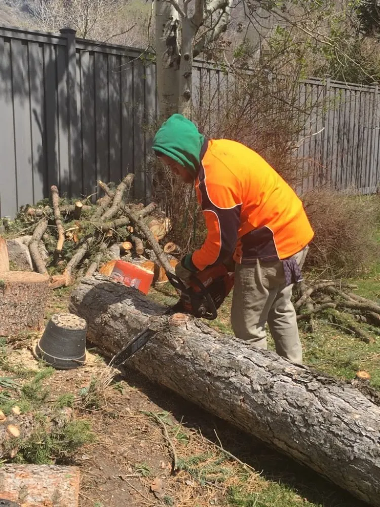 Local yard cleanup service near you in Ivins, UT by Nesian Landscapes