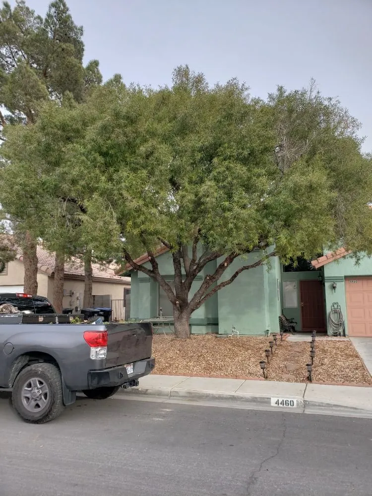 Expert lawn mowing service for year-round maintenance across Ivins, UT - Nesian Landscapes