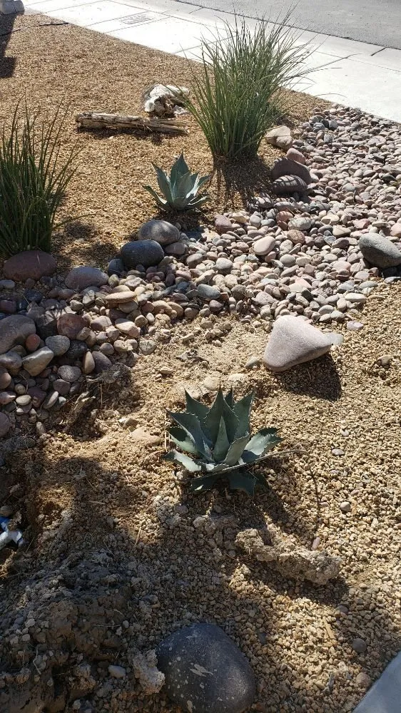 Professional yard cleanup service in Ivins, UT - Nesian Landscapes