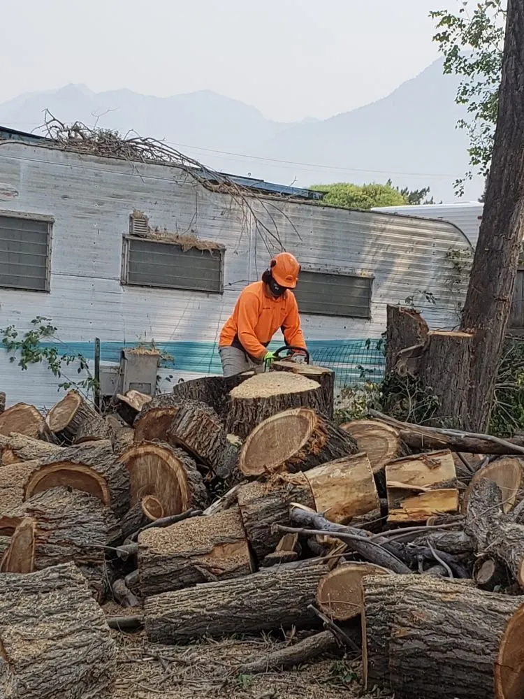 Reliable landscaping services in Ivins, UT by Nesian Landscapes