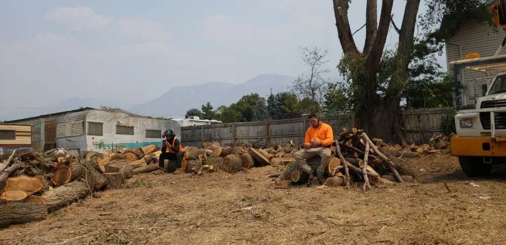 Affordable landscaping services in Ivins, UT by Nesian Landscapes