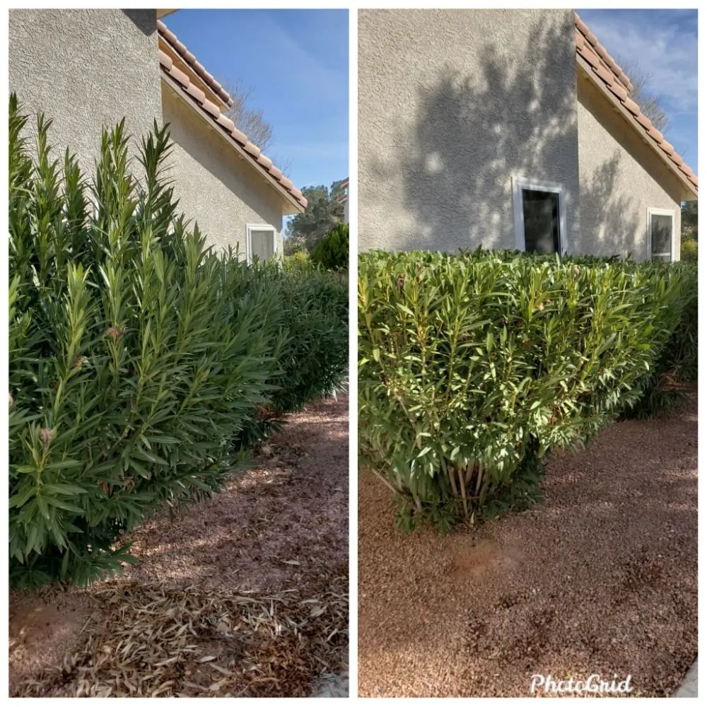 Custom outdoor landscaping experts serving Ivins, UT - Nesian Landscapes