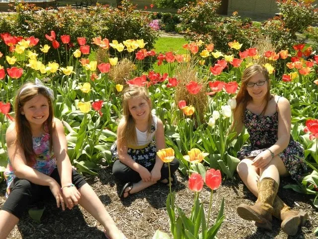 Expert garden landscaping with custom design across Lancaster, OH - Nessley's Lawn Care