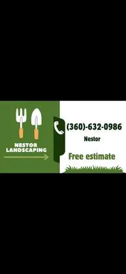 Nestor Landscaping