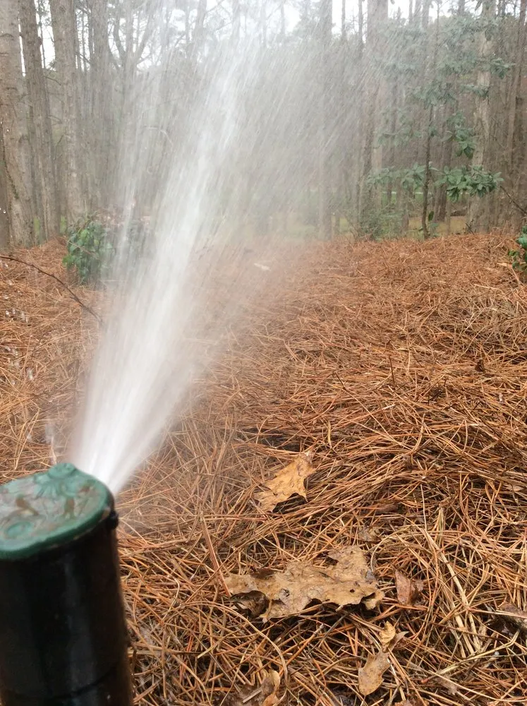 Top-rated yard maintenance for year-round maintenance in Alpharetta, GA by Nestor's Landscape