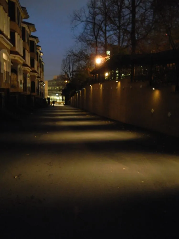 Professional landscaping services experts serving Alpharetta, GA - Nestor's Landscape