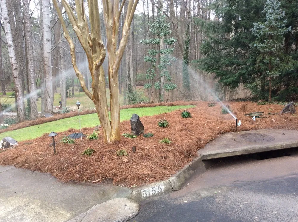 Trusted yard maintenance for year-round maintenance in Alpharetta, GA by Nestor's Landscape