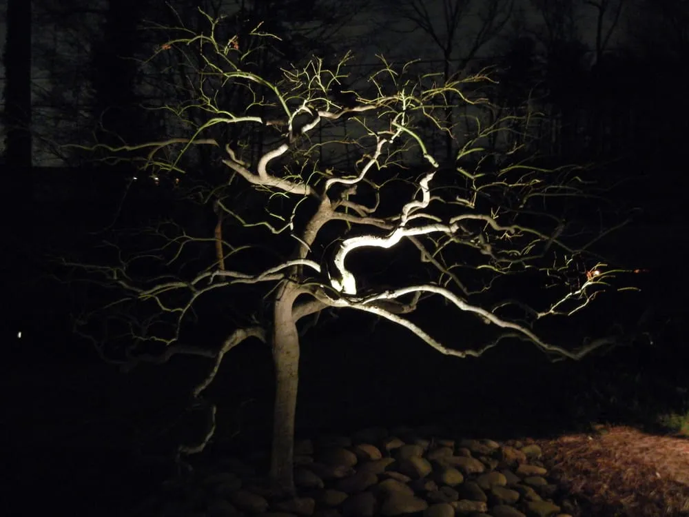 Professional outdoor landscaping experts serving Alpharetta, GA - Nestor's Landscape