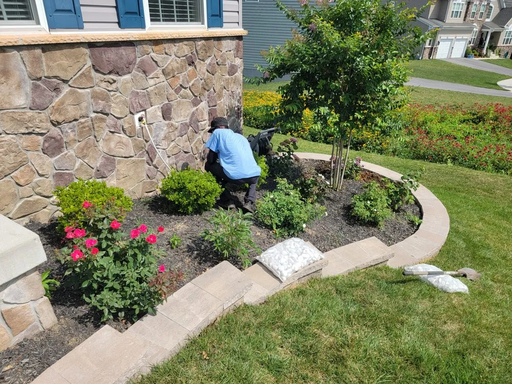 Top-rated lawn care service with custom design in Catonsville, MD by Net My Work