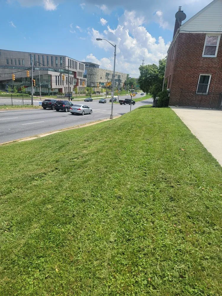 Local residential landscaping in Catonsville, MD - Net My Work