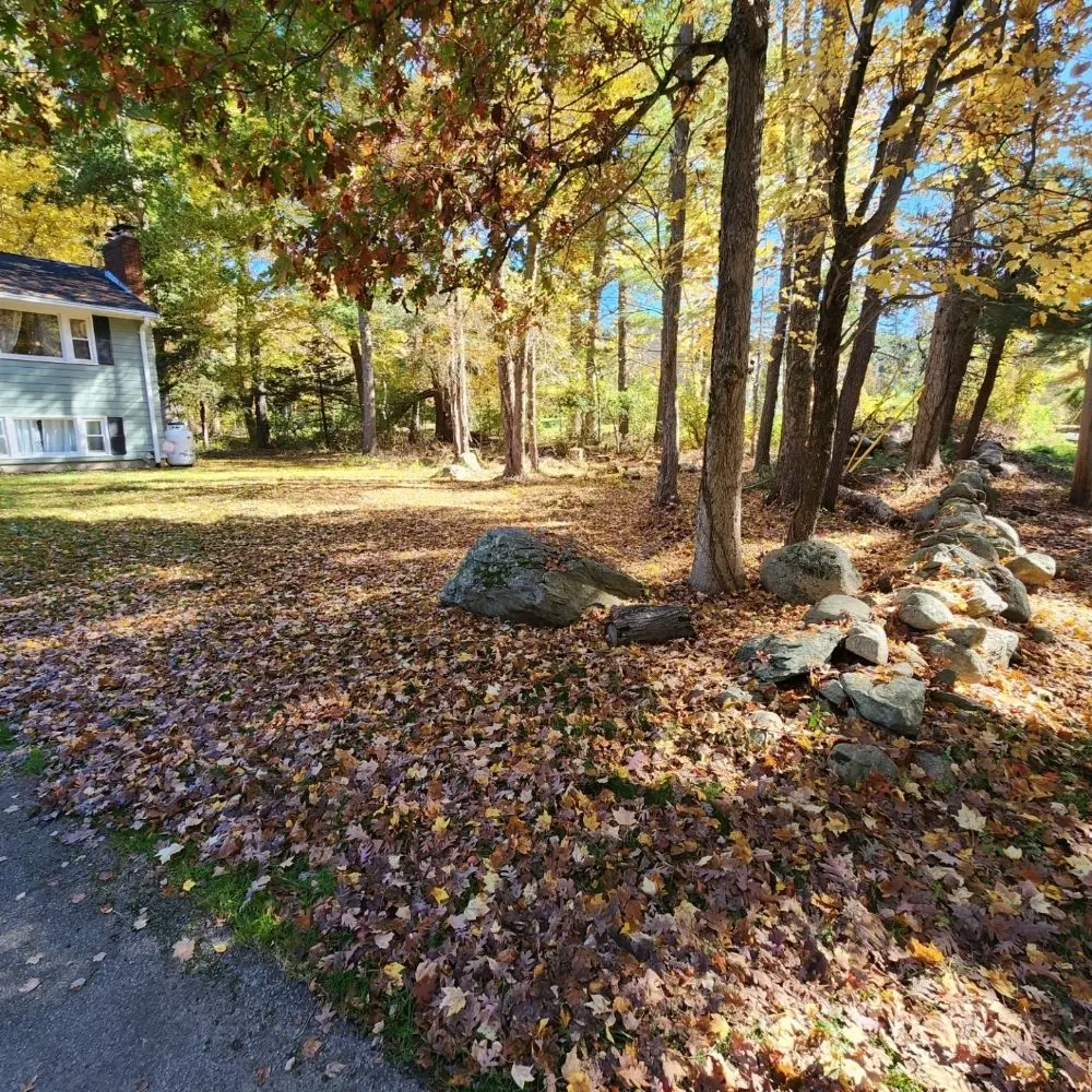 Top-rated outdoor landscaping in Franklin, MA - Net Zero Landscaping