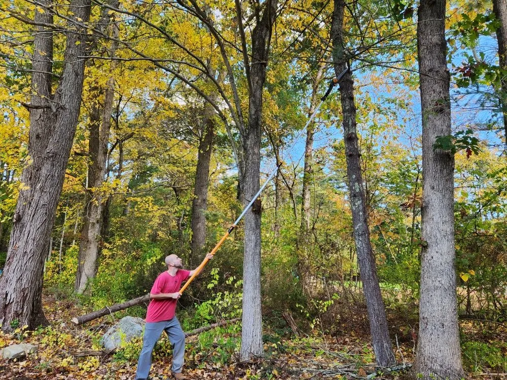 Expert outdoor landscaping in Franklin, MA - Net Zero Landscaping