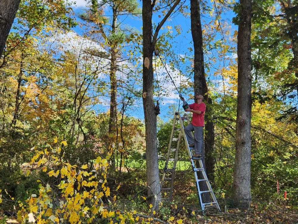 Custom lawn mowing service experts serving Franklin, MA - Net Zero Landscaping