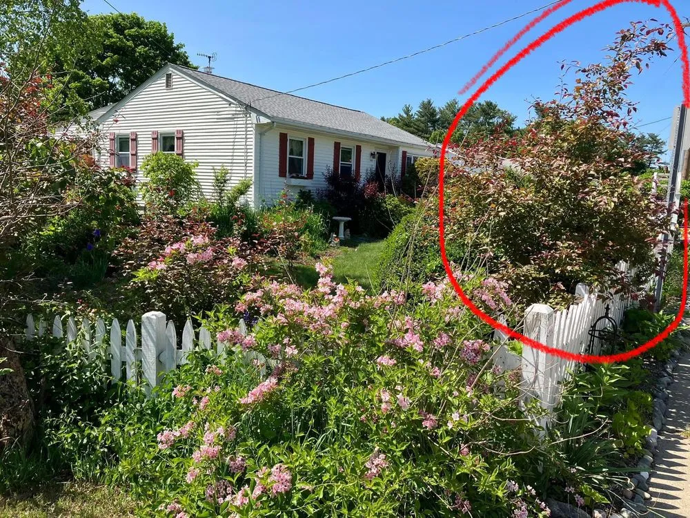 Reliable lawn mowing service in Franklin, MA - Net Zero Landscaping