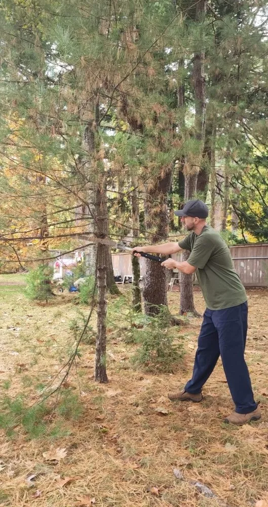 Custom yard cleanup service in Franklin, MA by Net Zero Landscaping