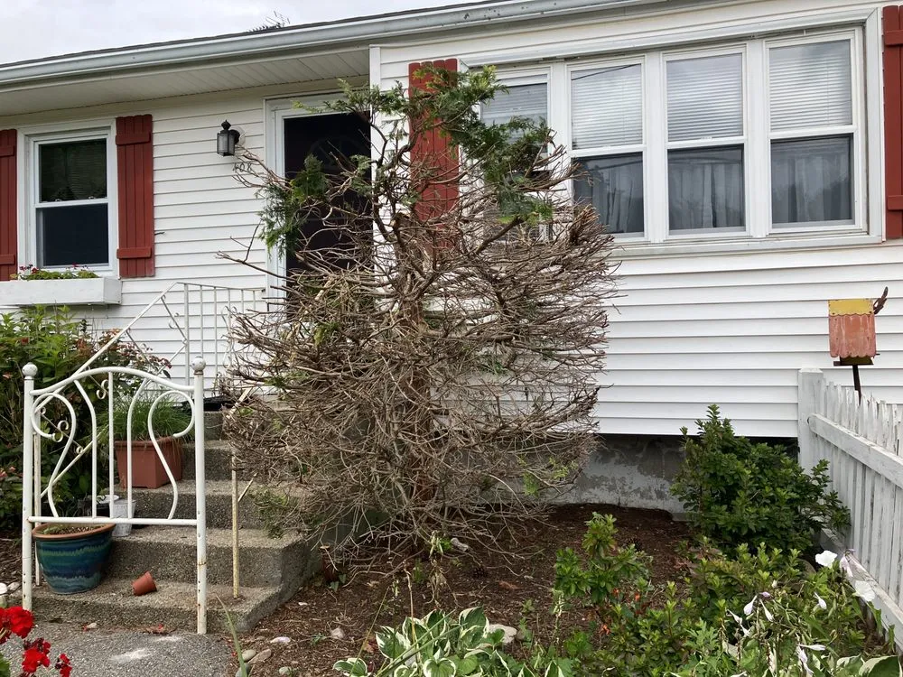 Affordable garden landscaping near you in Franklin, MA by Net Zero Landscaping