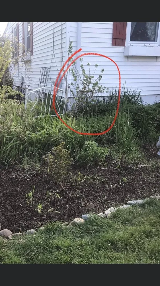 Affordable lawn care service for year-round maintenance across Franklin, MA - Net Zero Landscaping