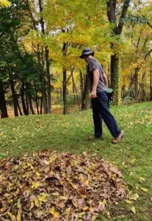 Professional landscaping services experts serving Franklin, MA - Net Zero Landscaping