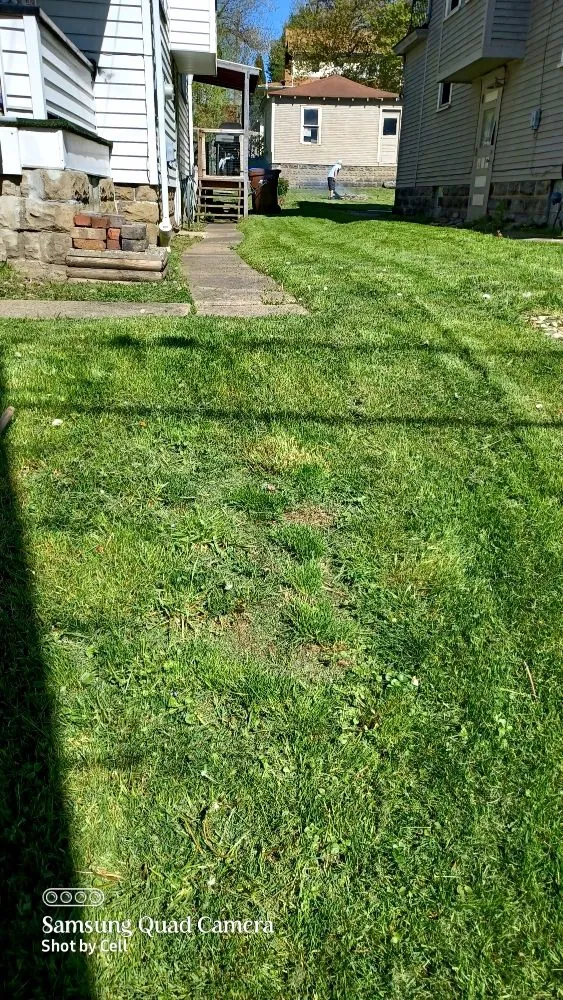 Expert garden landscaping near you across Benwood, WV - Nettles Painting Drywall And Landscaping