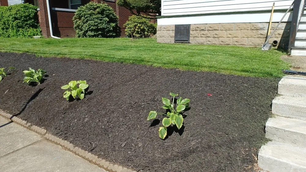 Professional landscaping services for residential properties in Benwood, WV by Nettles Painting Drywall And Landscaping