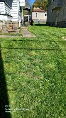 Nettles Painting Drywall And Landscaping