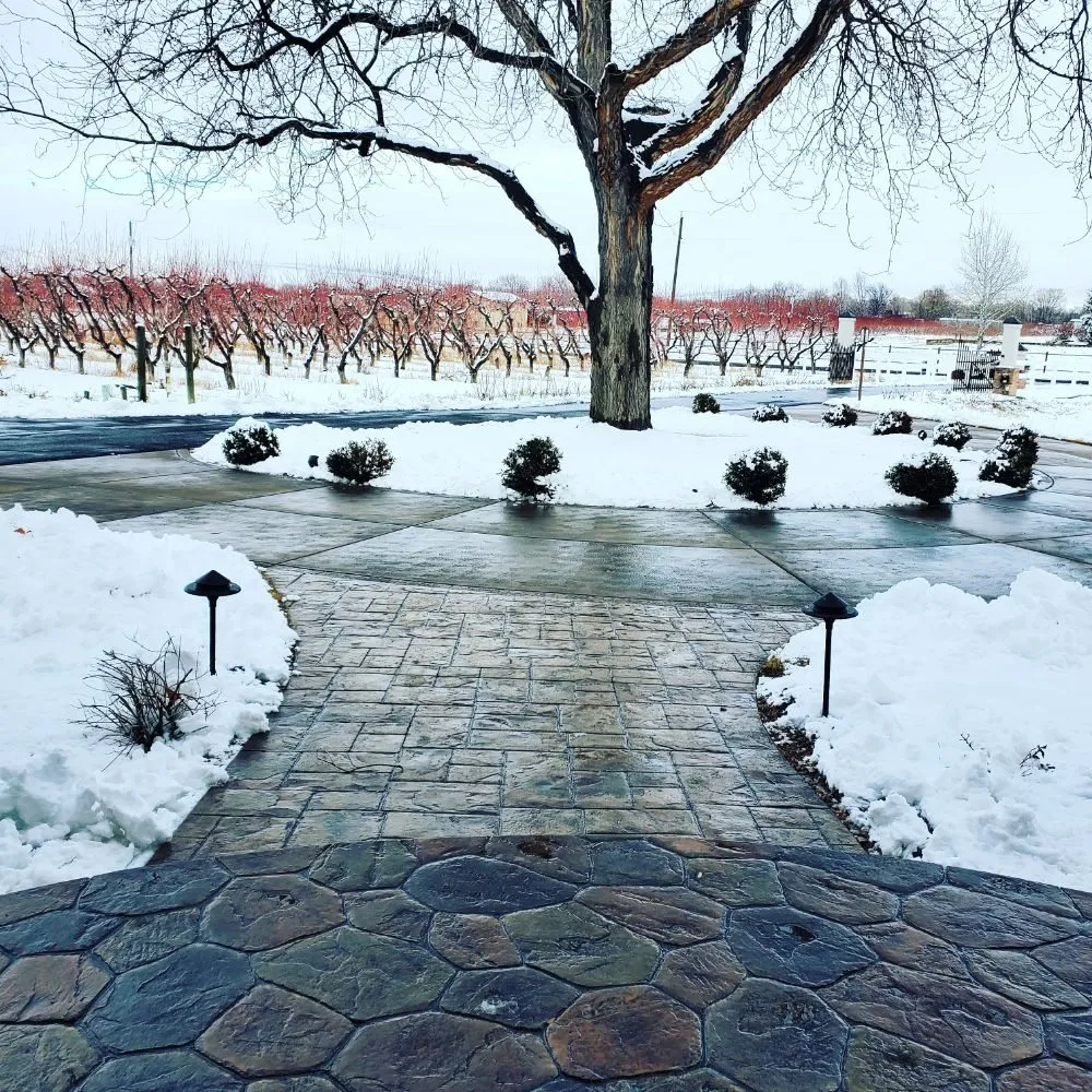 Expert lawn care service in Grand Junction, CO by Netty's Landscaping