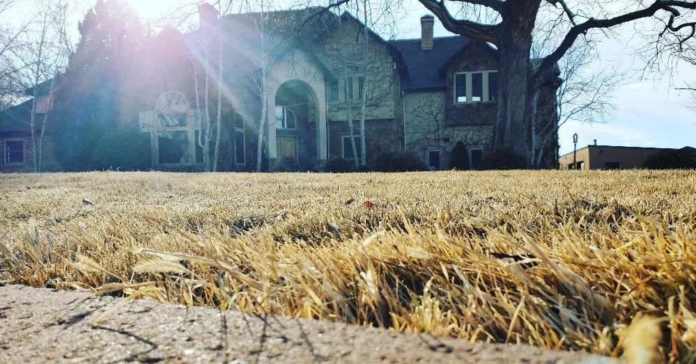 Affordable landscape installation in Grand Junction, CO by Netty's Landscaping