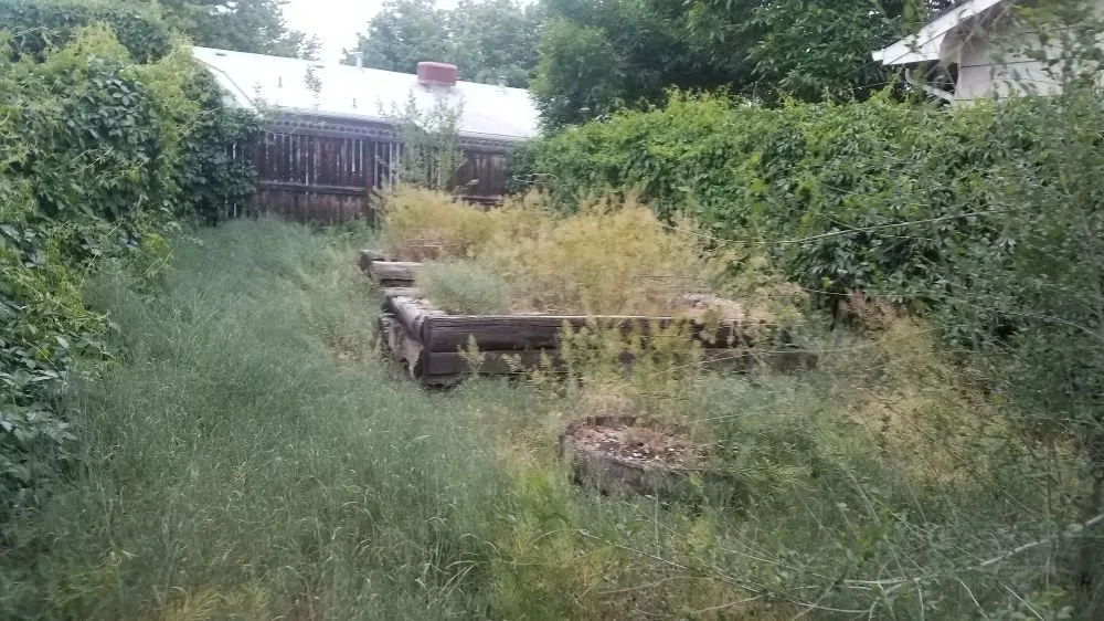 Affordable landscape design in Grand Junction, CO by Netty's Landscaping