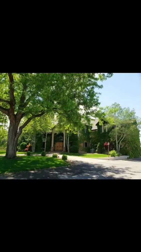 Custom garden landscaping experts serving Grand Junction, CO - Netty's Landscaping