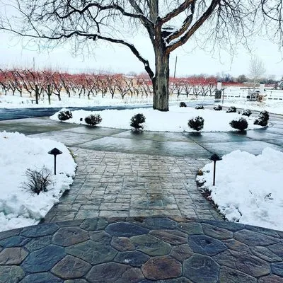 Netty's Landscaping Logo