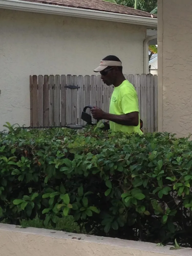 Trusted lawn care service for outdoor upgrades in Palm Harbor, FL by Network Lawn Services