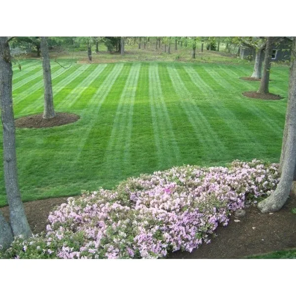 Trusted outdoor landscaping for residential properties across Palm Harbor, FL - Network Lawn Services